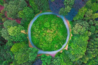 3 Ways You Can Use the Circular Economy to 'Do More Good' for Our Living Planet (and Strengthen Your Business)