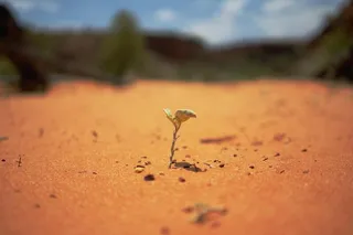 Defining Organizational Resilience