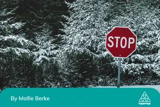 A stop sign for hiring managers following old hiring practices, the background is of fir trees with frost on the tips.