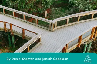 An aerial view of a wooden walkway in the woods