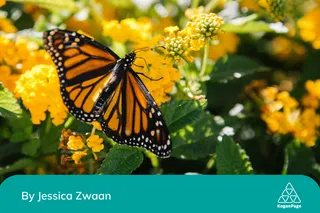 The People Transformation Economy: A New Framework for Meaning and Motivation at Work