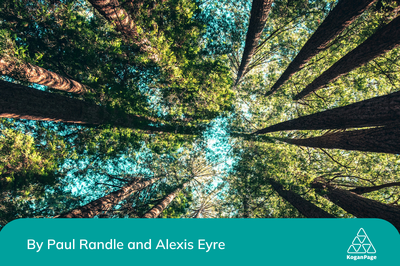 Upward angle photo of sun shining through tall trees